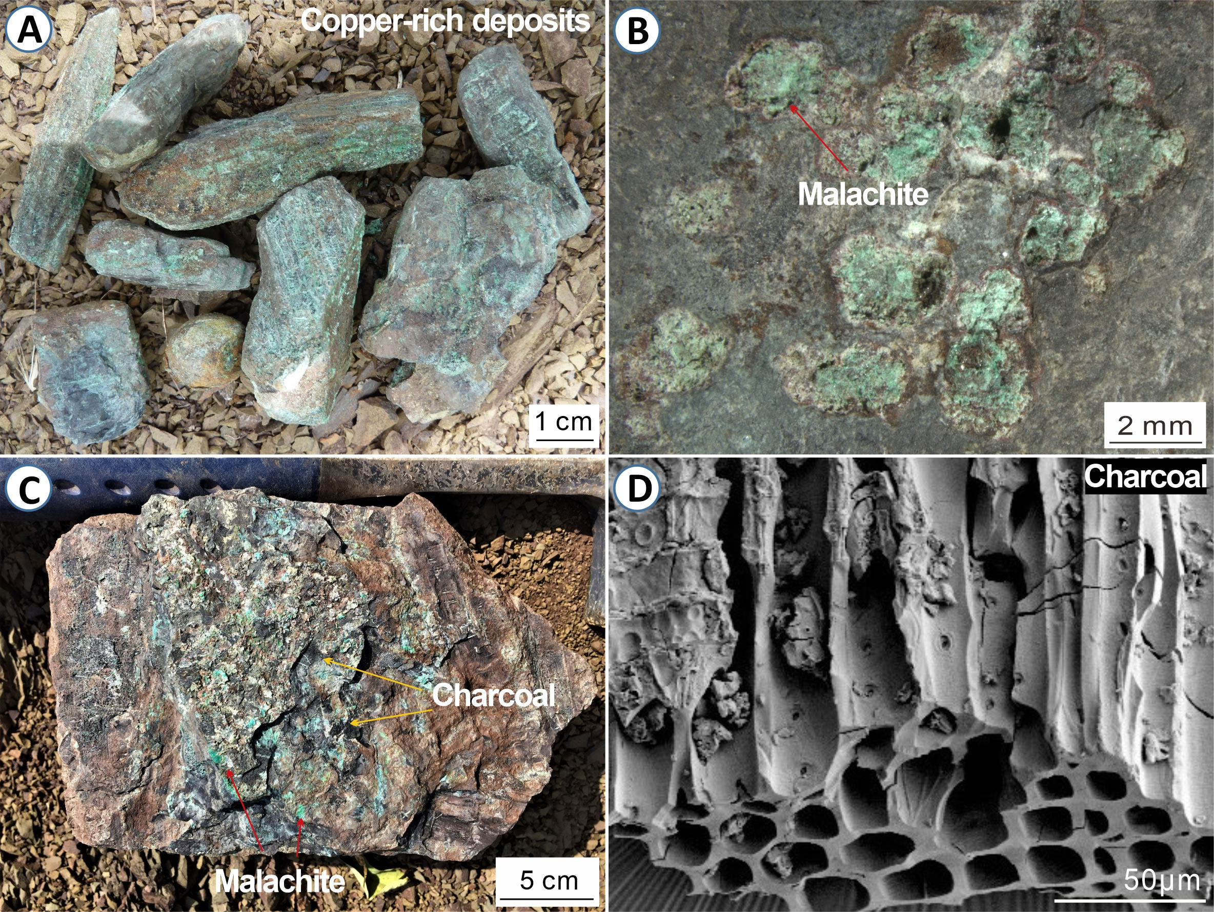 华南陆相剖面二叠纪-三叠纪过渡期富铜沉积物和炭屑