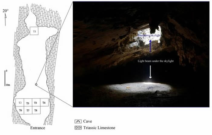 ���׶��촰