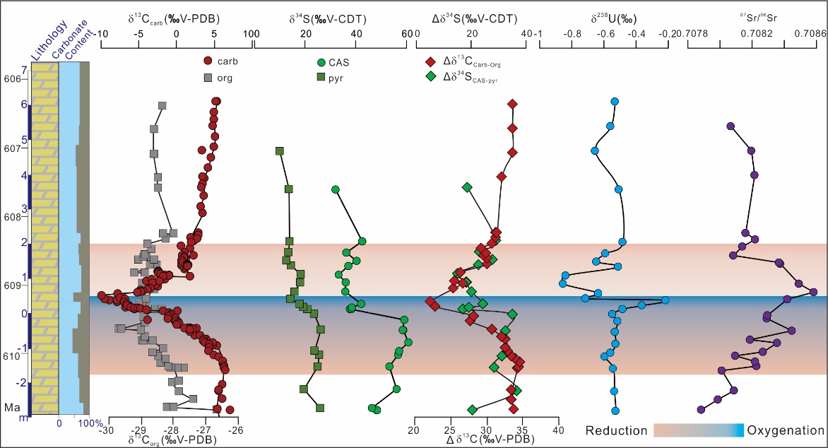 ͼ1 ����������̼�����ˡ���ͬλ�ر仯