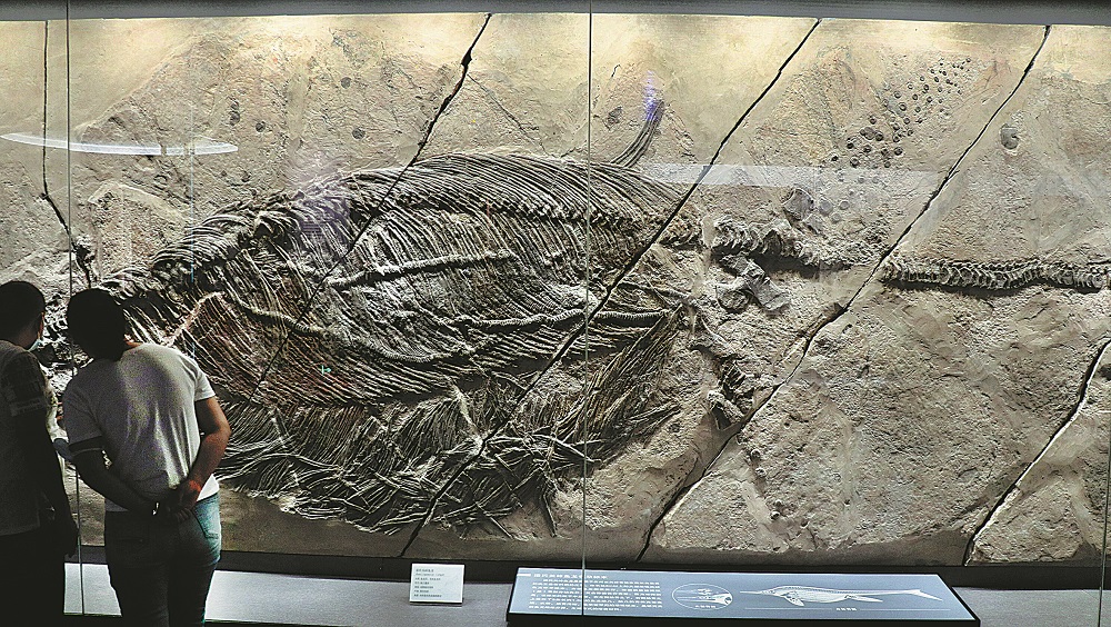 �Ż�������޸�ʦ�û�ʯ��������