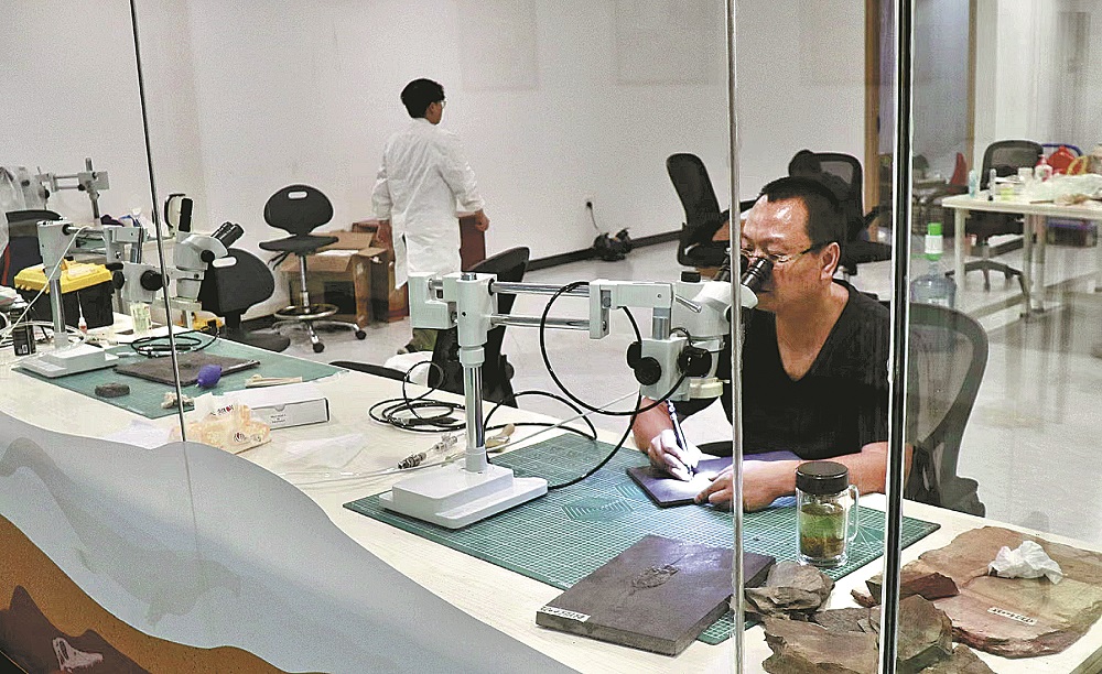 �Ż�������޸�ʦ�û�ʯ��������