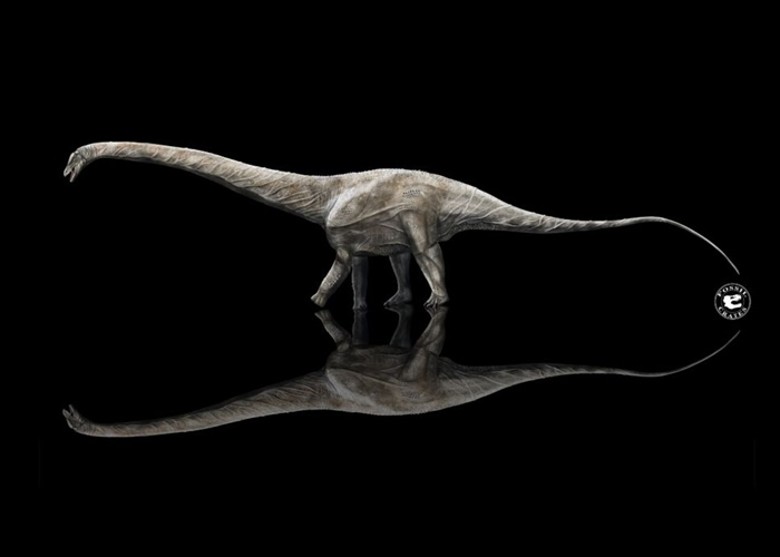 1972年发现的梁龙科的超级龙或是已知世界上最长的恐龙 身长达42米