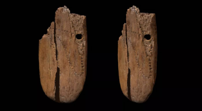 波兰洞穴发现的41500年前猛犸象象牙吊坠可能是欧亚大陆上最古老的人类装饰珠宝