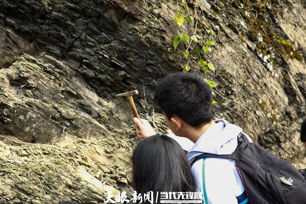 ������������ѧ��չ������̬��ѧ��