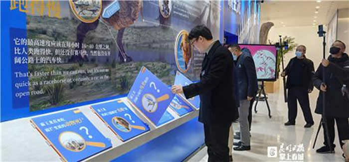 ������������������������������������̫��Ȥ��