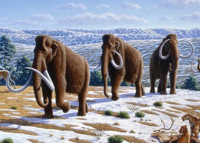 7000��5����ǰ�����ϵľ���ʳ�ݶ������ʧ��ȫ���ԭ���ּ������������й�ϵ