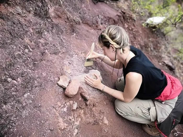 古生物学博士后法国女孩克莱尔与云南恐龙结缘