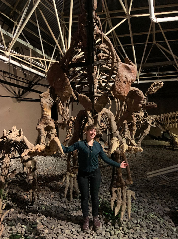 古生物学博士后法国女孩克莱尔与云南恐龙结缘