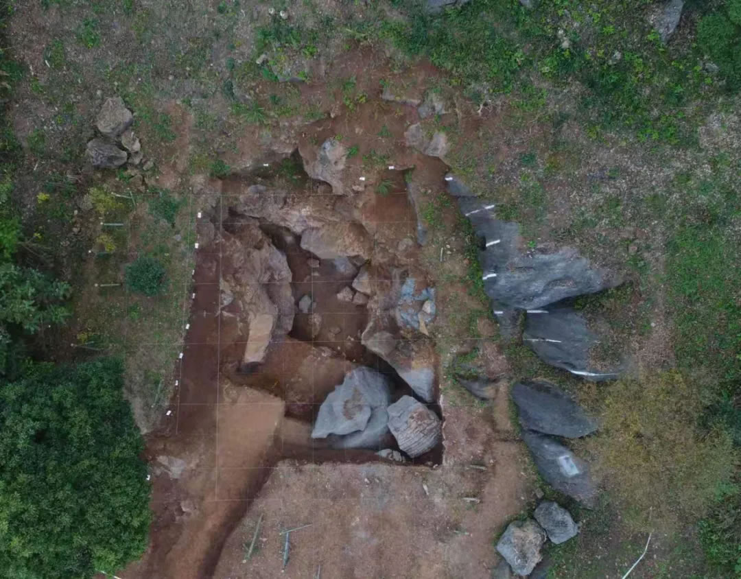 ��������ַ