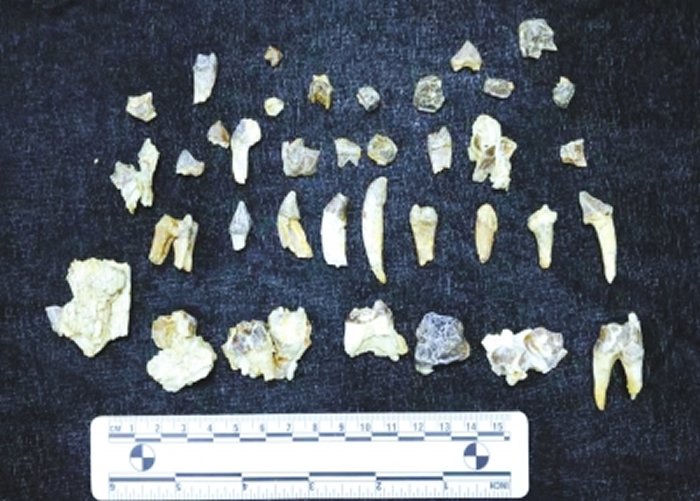 ����Ͽ���ų��ؾ����Ϻӹ����ﻯʯ��ַ����100�������ѧ�����ֻ�