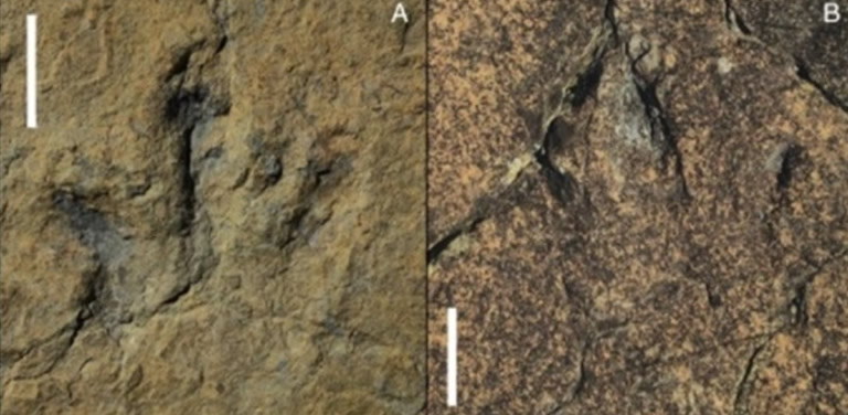 ����������¹�����һ�������㼣��ʯ ���ǵı����ٶȻ�ӽ�ÿСʱ45����