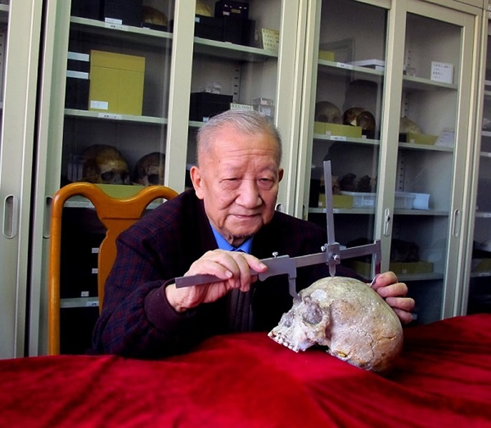2012年11月，吴新智院士在观察柳江人头骨。刘武供图