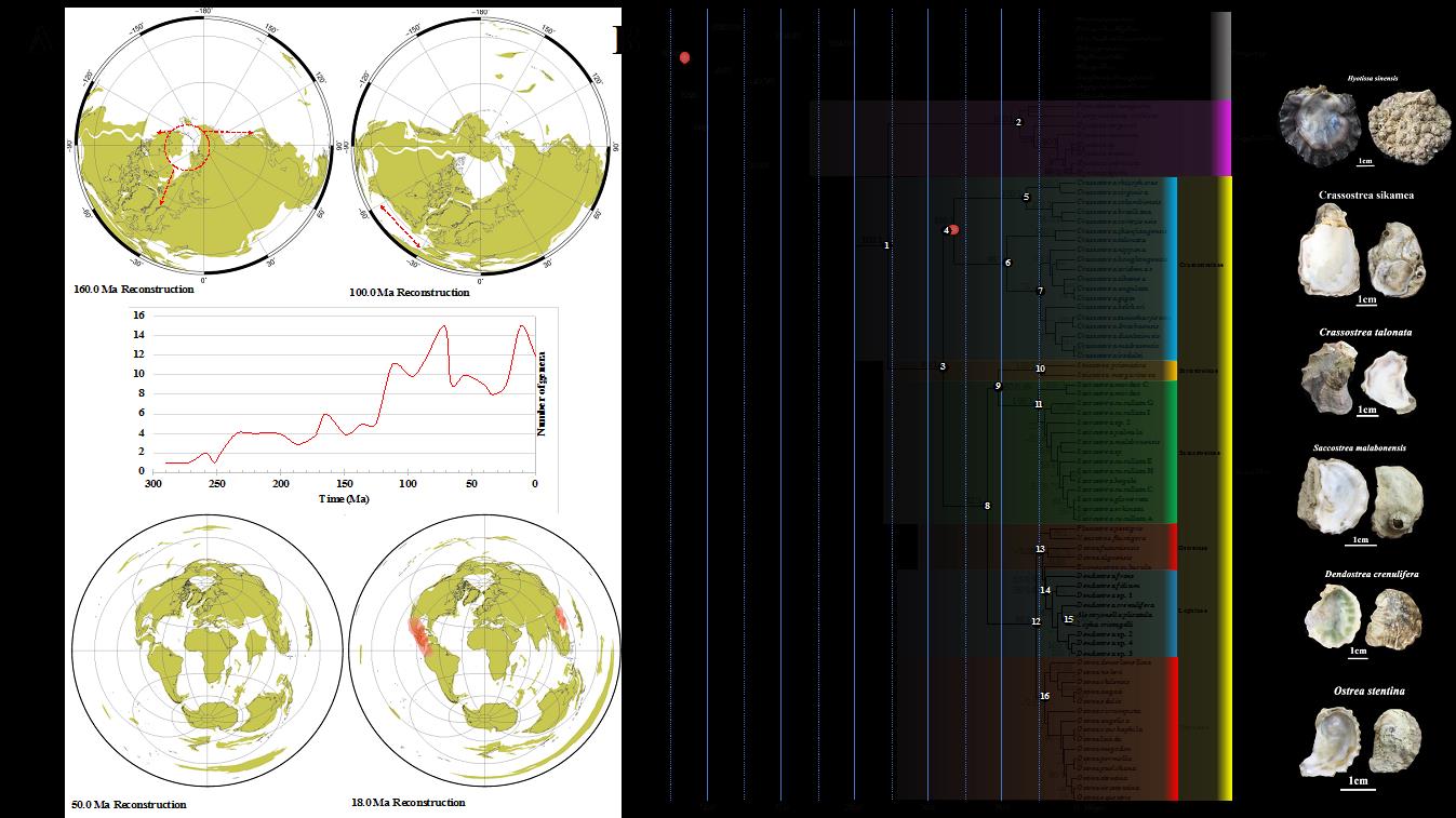 (A) ����������ĵ�û�ʯ����Ŀ�ı仯����Ҫʱ���ĵ������������ȵ�����(B)  �����������ֵ�ĵ�ÿ�ϵͳ������ϵ�ͷֻ�ʱ��