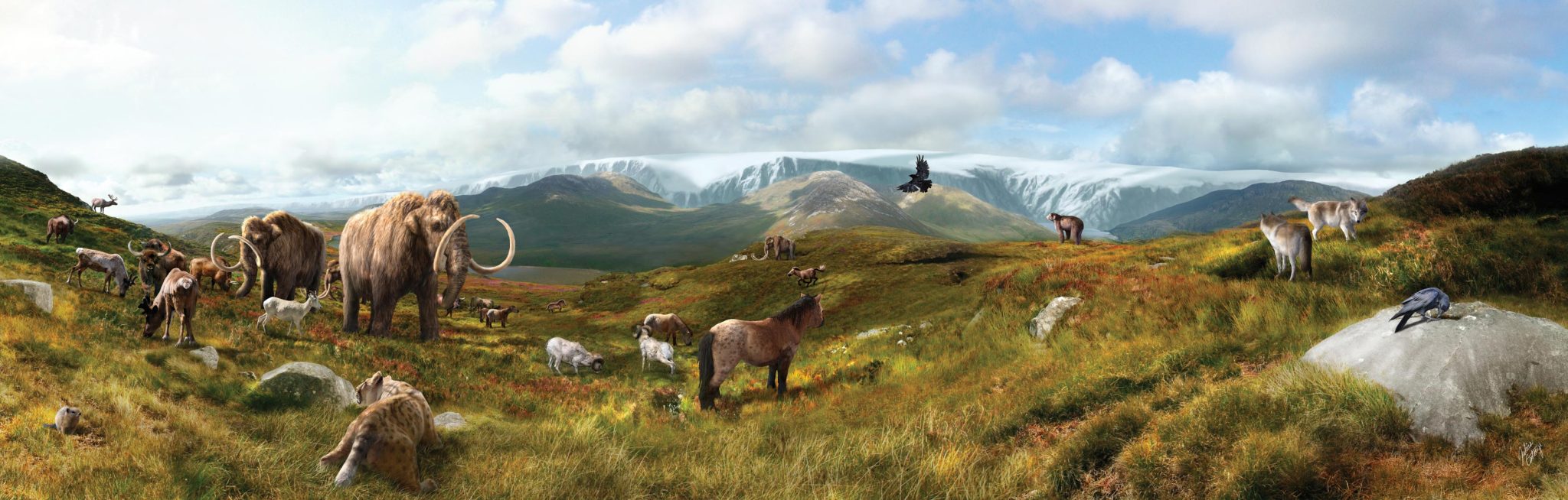 ��Nature Communications����������Ⱦ��Ͷ��������ʱ����������ŵ�Ҫ����ǧ��