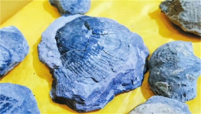 ������̫��������Զ��ʱ���Ǻ��� ��Щ��ʯ����֤��