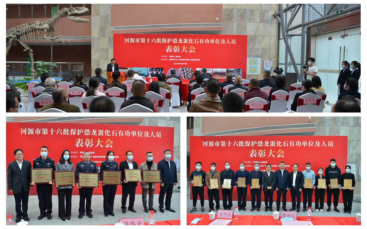 ��Դ�е�ʮ����������������ʯ�й���λ����Ա���ô���ں�Դ��������ݾ���