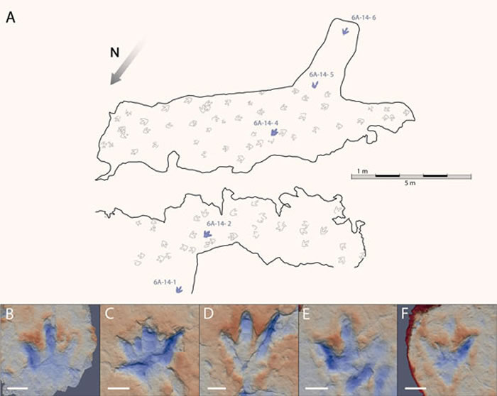 �����������޽���������ı����ٶȣ�ʱ��40����