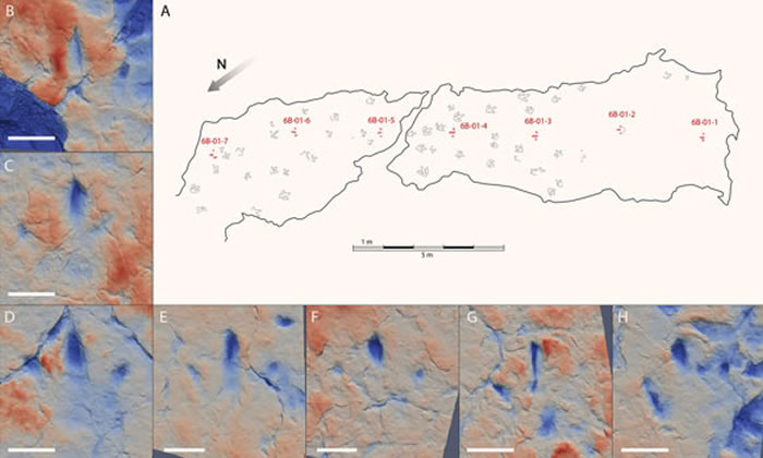 �����������޽���������ı����ٶȣ�ʱ��40����