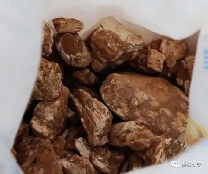 青海警方打掉一个盗掘古脊椎动物化石犯罪团伙