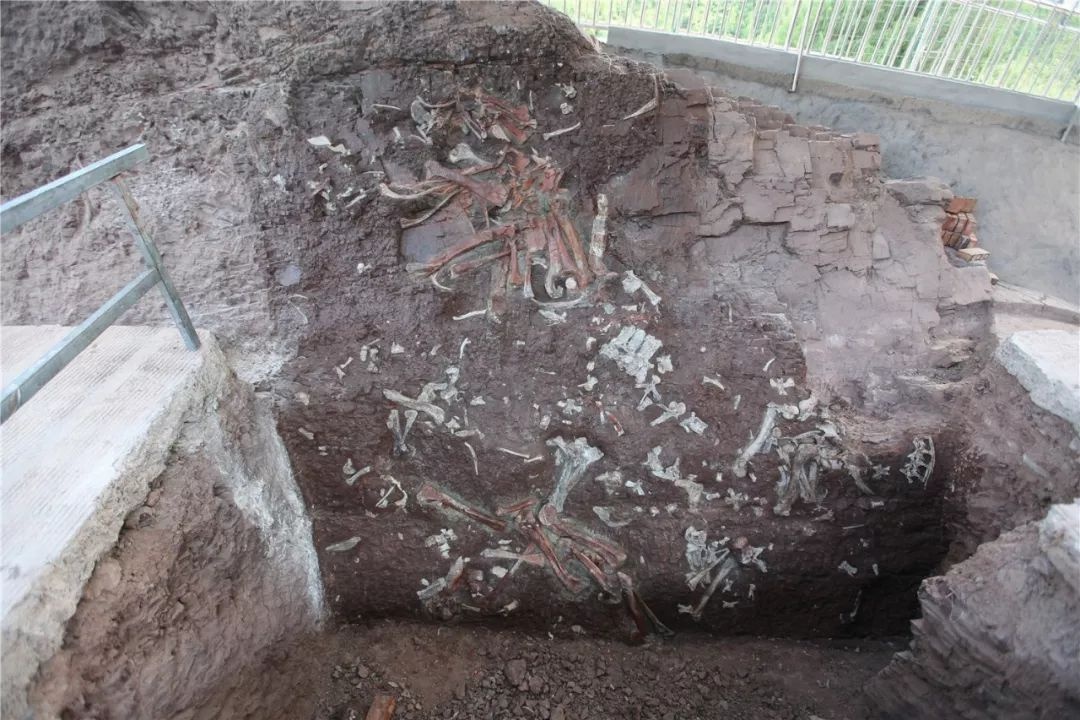 ��������һ����ʯǽ��ͼƬ��Դ������滮����Ȼ��Դ�֣�