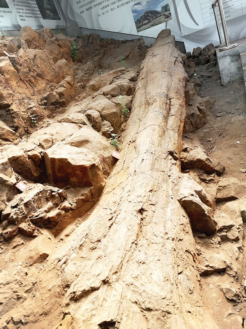 ��Ȫ����֯����2021������ﻯʯ������Ŀ