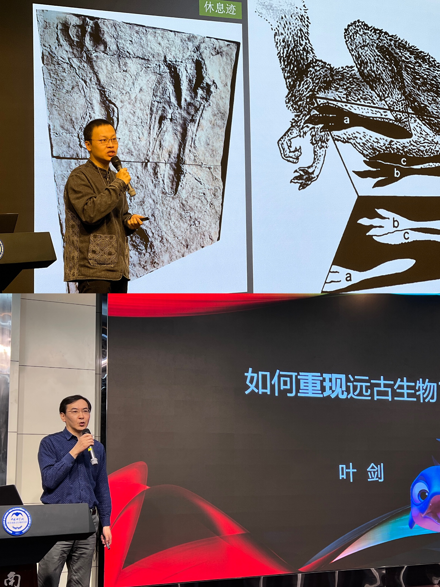 �����Ҷ����λ��ʦ����ؿ��ձ���