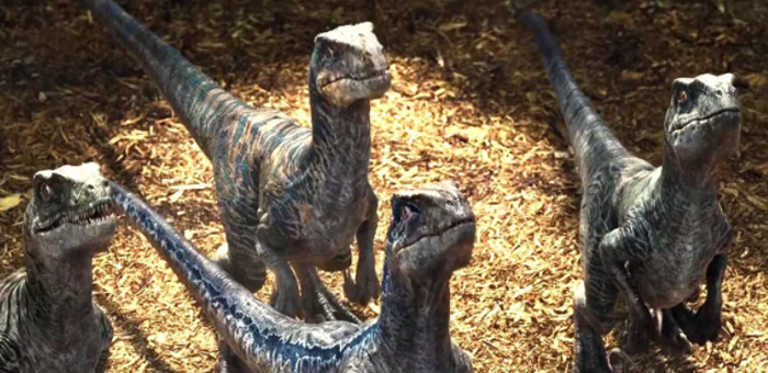 Ѹ������˫��������ʳ�Կ�������ʱ���ԴﵽÿСʱ45���� ���벩���ء�����������