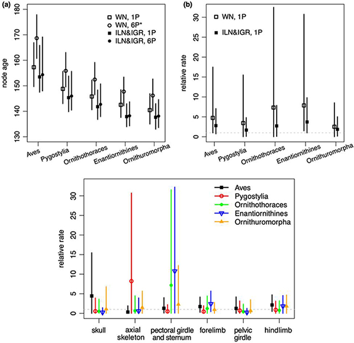 �����ݻ���������ؼ��ڵ�ķ���ʱ����ݻ�����