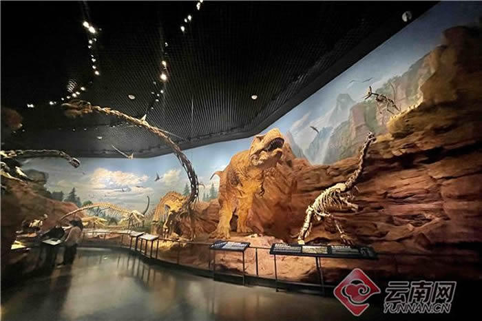 澄江化石地世界自然遗产博物馆