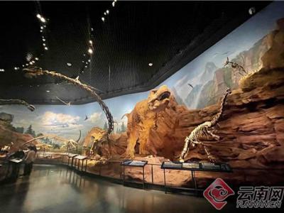 云南这两个古生物文化景点带你“穿越时空”看地球生物进化历程