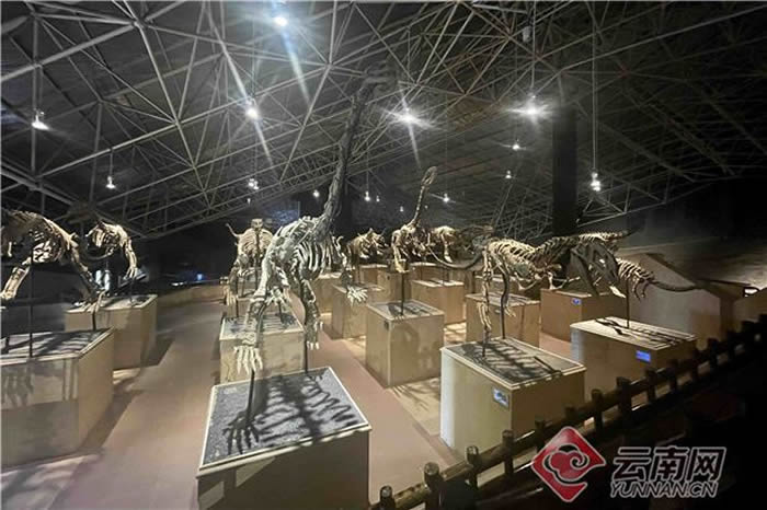 世界恐龙谷旅游景区