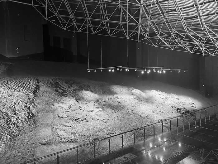 »����������ȴ�������Ļ�Ʒ�� �������򾭼÷�չ