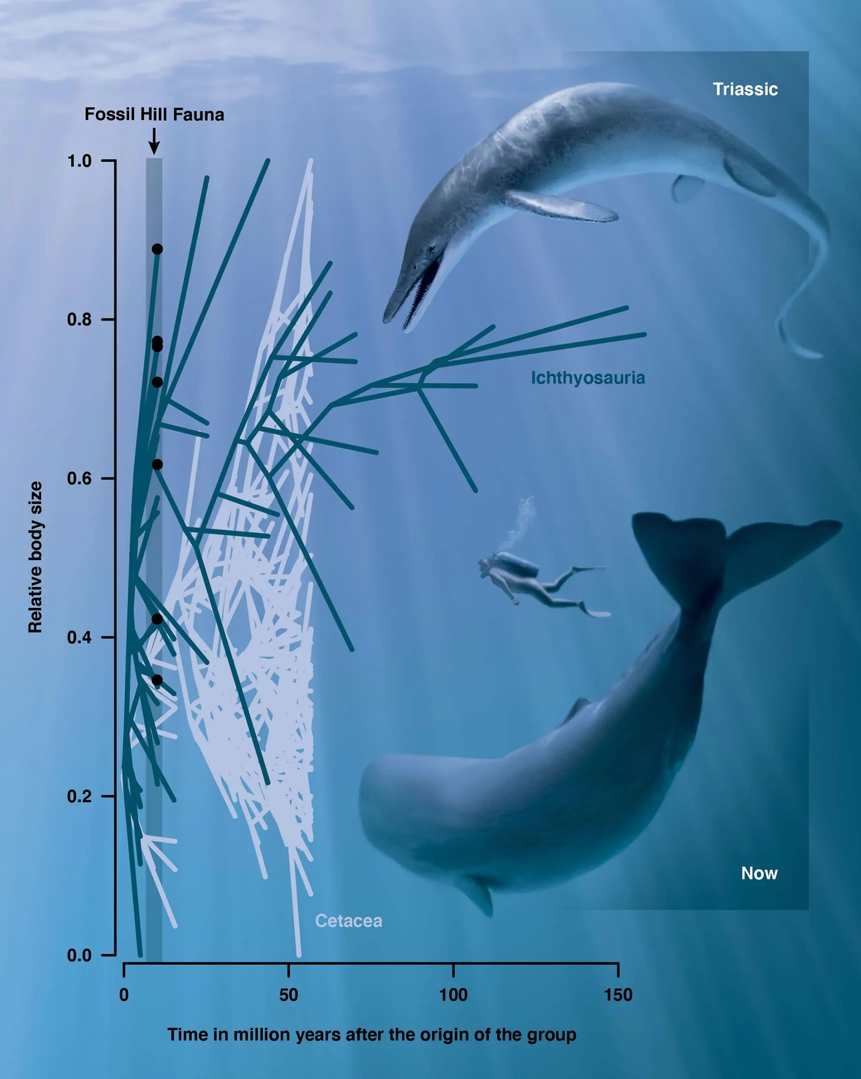 �����ڻ����ݰ¹�˹��ɽ������2.4����ǰ�����;޴�������ʯ