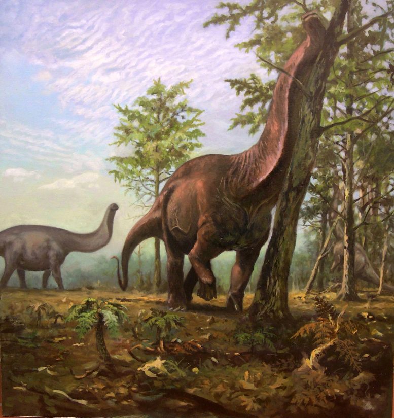 陆地有史以来最大的动物——长颈蜥脚类恐龙喜欢生活在地球上更温暖的热带地区