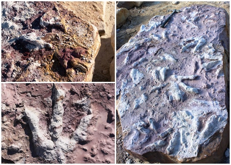 �����׶���ɳ���ϲ����Ʒ���˹¶������������ٸ�2����ǰ�Ŀ����㼣�ͺ��ǻ�ʯ