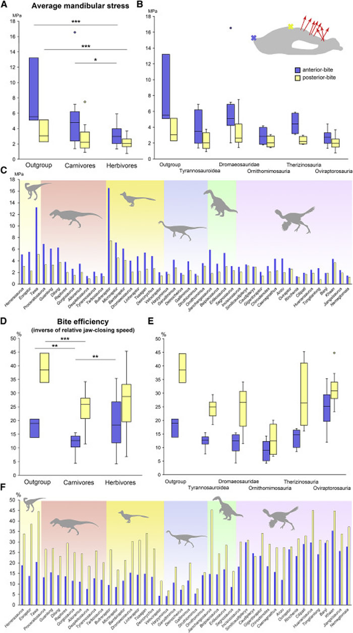 ���о���ʾ�޽���Ŀ��������������̵���� ʹ�����ܹ�ʳ�ø���Ӳ��ʳ��