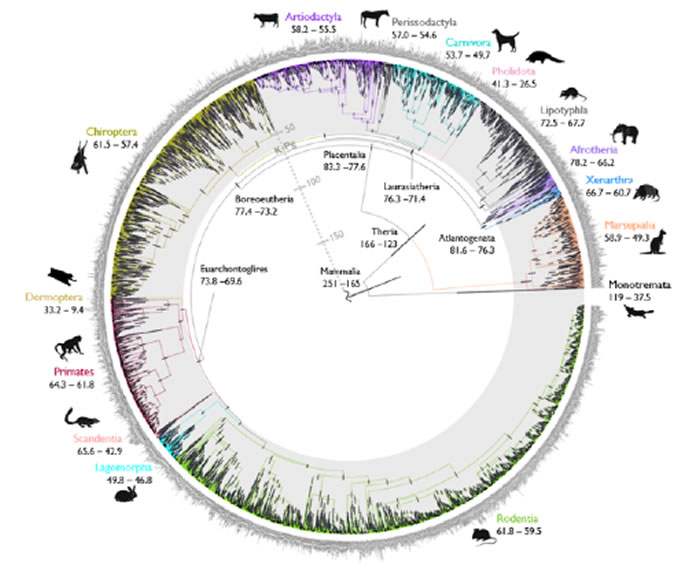 ����Ϊֹ���鶯�����������ϸʱ��� �ִ�̥�̲��鶯��Ⱥ����Դ�ڡ������������֮��