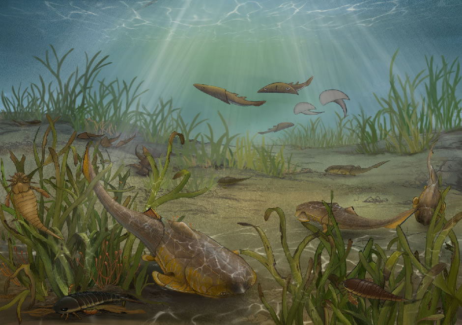 ������ɽ�޵���������Ⱥ��̬��ԭͼ��֣��D�棬�п�Ժ�ż�׵������������о�����ͼ