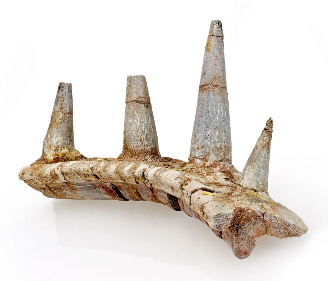 Ħ��硰��˿�����