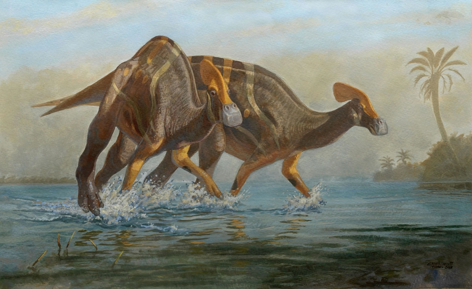 ͷ���񶺺ŵĿ���