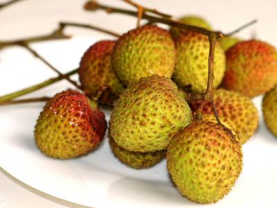 荔枝基因组研究讲述一个古老热带水果的驯化往事