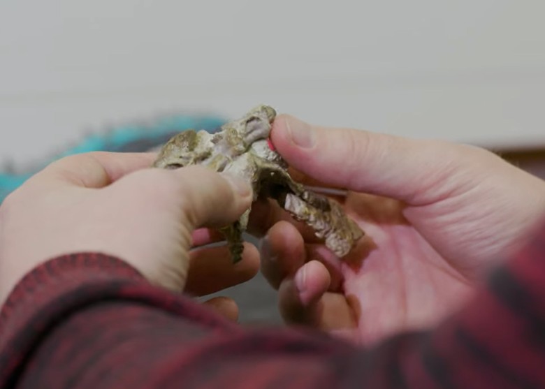 �о���Ա��¼������Ʒ�ֿ�����ʯ