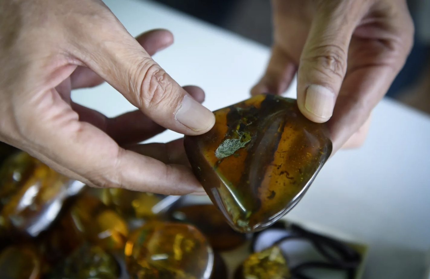 ����Ȼ��̬ѧ���������־��ֳ��������ȻӰ���Ž���ĵ����ѧ