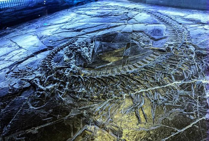 �����й��ҵ��ʹ�԰����ݻ񡰹���ʡʮ�ѿ��ս������ء��ƺ�