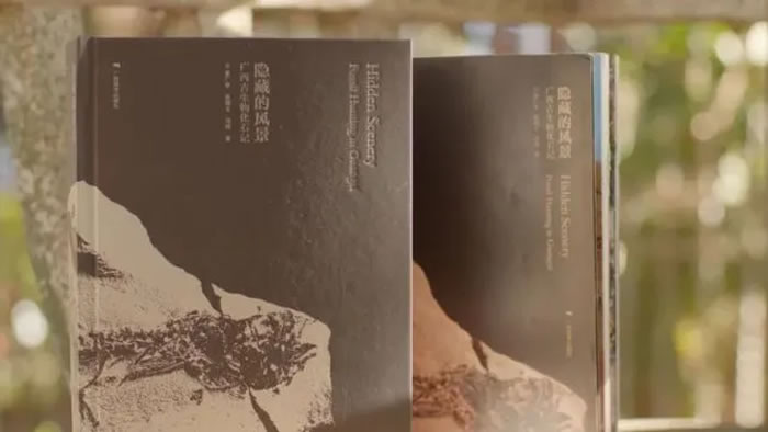 �����صķ羰--���������ﻯʯ�ǡ������滯ʯ���˵ĽŲ� ̽����������ʯ�е���������