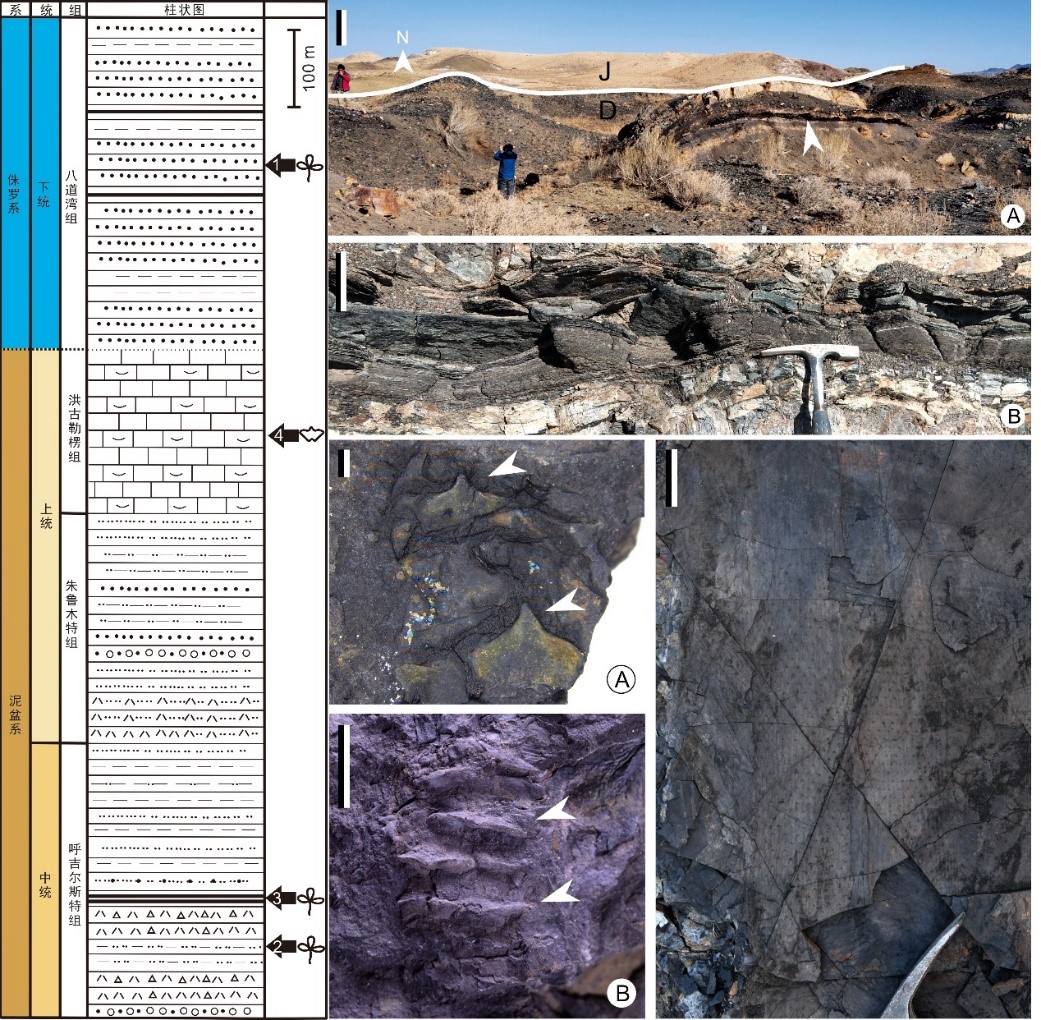 ½ǵͲزҰ¶ͷֲﻯʯ