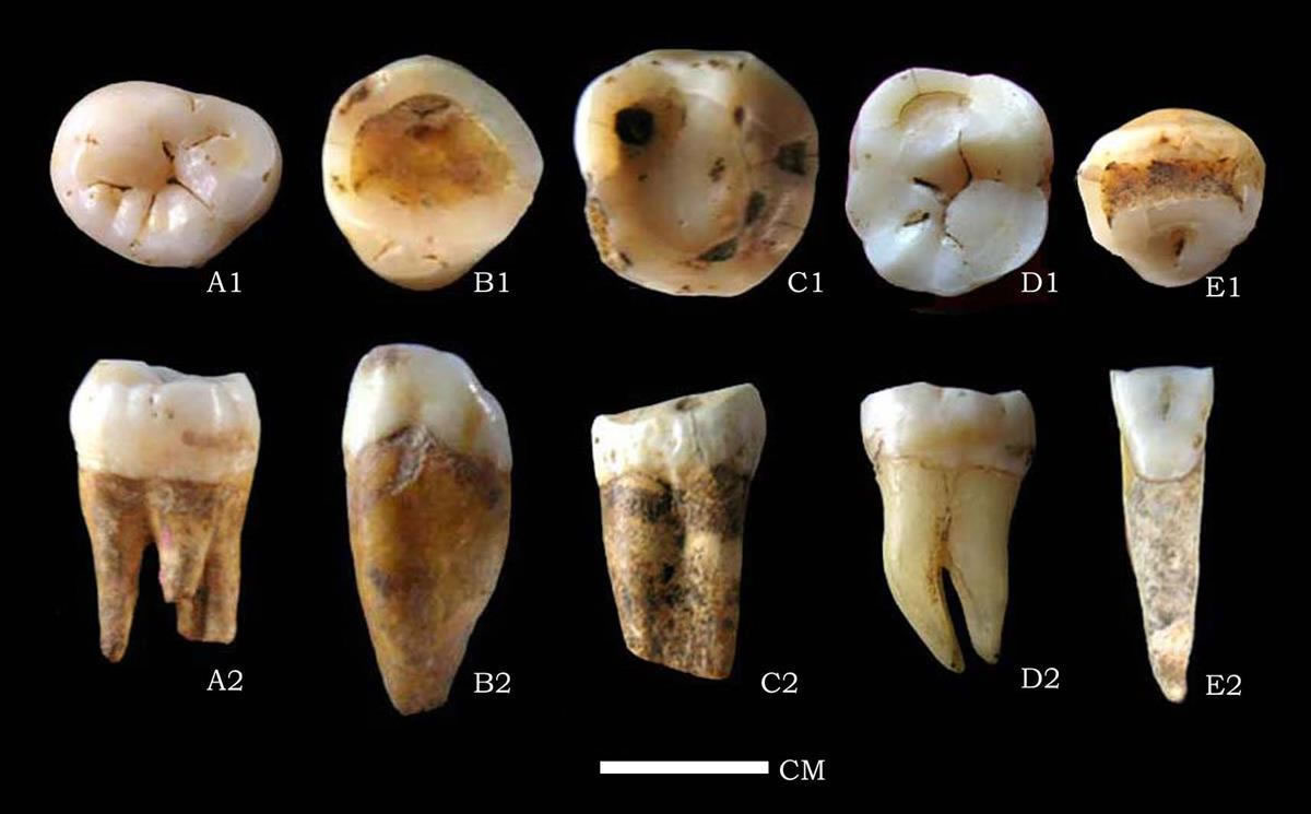 ��������ַ����������ʯ