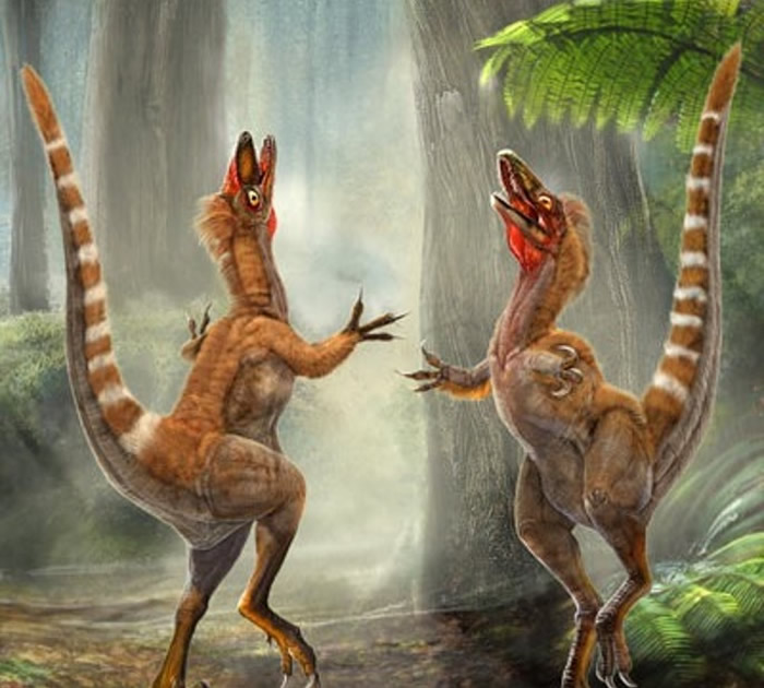 �л�������ɫ��ԭͼ�����ܷ��߹�ͼ��