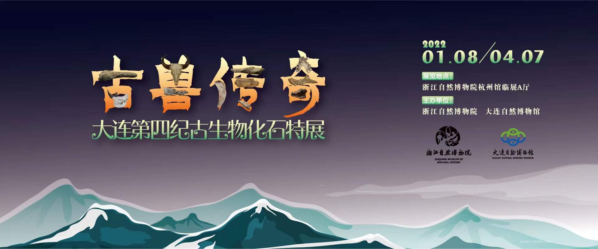 �����޴��桪���������ļ͹����ﻯʯ��չ�����㽭��Ȼ����Ժ��Ļ