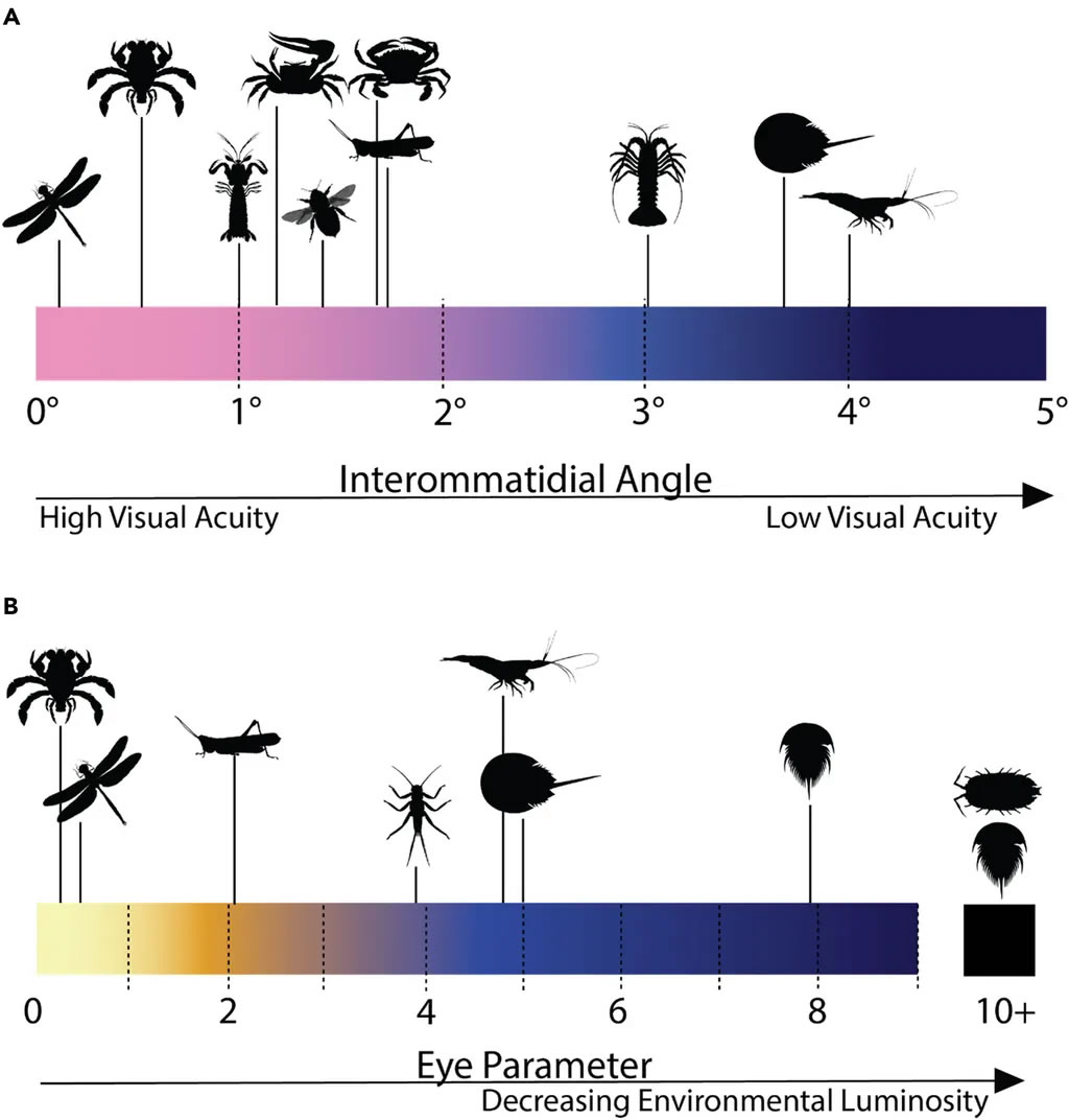 ������ѧ�Ҵ�9500����ǰ���Ի���ħз��ʯ�з��ֹ���з�۵ĸ�������